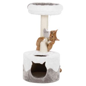 PHO_PRO_CAT_CLIP_43794-1 (1)
